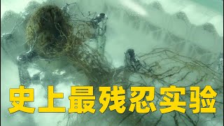 史上最残忍实验，将肉体剥离，仅剩大脑与神经