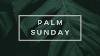 Learning To Give Control | Luke 23 | Palm Sunday