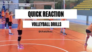 Quick reaction volleyball drills (Academy)