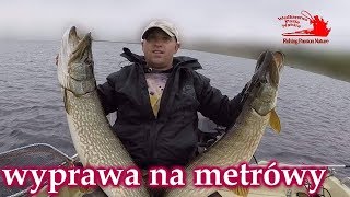 Rekordowy szczupak plus trzy metrowe szczupaki/wędkarstwo spinningowe/pike fishing