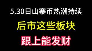 5.30日山寨币热潮仍然没结束！后面这几个板块这些币可以跟上！