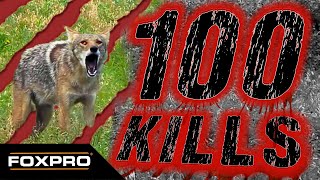 100 FOXPRO Coyotes and Bobcats in Under Four Minutes