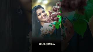 LE BAULA 🌿 || NEW SAMBALPURI STATUS || SAMBALPURI SHORT STATUS || OLD SONG STATUS||