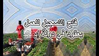 مطلوب الالف من عمال المزاراعين العرب في مزارع إيطاليا بدون خبره او مستوى تعليمي وتوفير سكن وتأشيره 1