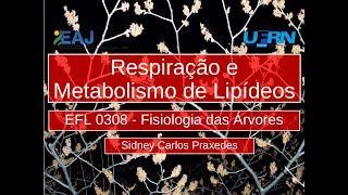 08 - Respiração e Metabolismo de Lipídeos - 1