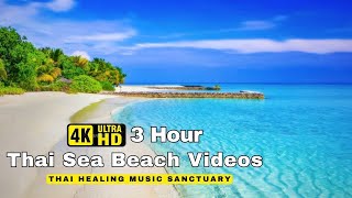 Thai Healing Music Absolute Stress Relief, Stop Anxiety 🌍 Deep Sleep Relax With Sounds Of The Ocean