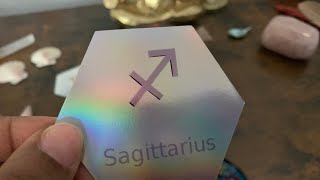 Sagittarius October Messages The Hermit Turtle Oracle named Kelly