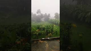 goa rain update 100cm worth of rain. #goa #rain #trending #viral #shorts #vlog #vlogger #goan #food