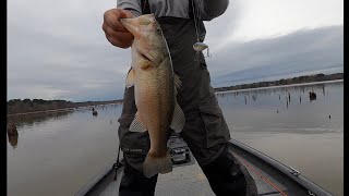 Catching huge winter bass at Toledo Bend!