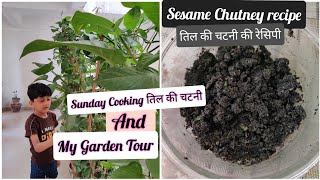 Til Chutney recipe | Sesame Chutney | My Garden Tour