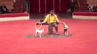 Stars of Beijing's Circus - The world greatest circus.