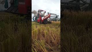 COMBINE HARVEST MACHINE(4)