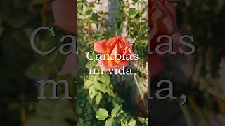 🏵 SIMPLEMENTE 🏵 POEMA por María De Los Ángeles Londoño #amor #poema #poesia