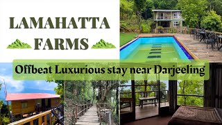 Offbeat LUXURIOUS stay for honeymoon near Darjeeling | 2023 | Lamahatta Farms | Swimming pool resort