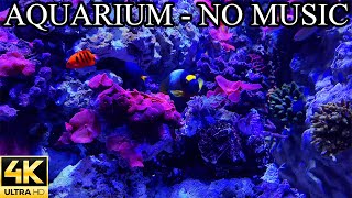 Saltwater AQUARIUM 4K Underwater Sounds NO Music NO Ads - Fish Tank Underwater Ambience