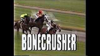 1988 Australian Cup horse race - Channel 10 television advertisement