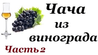 Домашняя чача из винограда. Чача в домашних условиях из выжимок. Часть 2