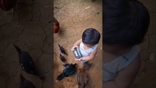 little farmer and his friends 🐥🐓🐎