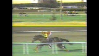 1993 Ramona Handicap