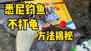 悉尼钓鱼 感受分享 钓黑毛 感受与方式复盘