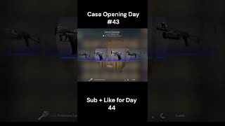 Opening a Case Until I Get a Knife Day #44