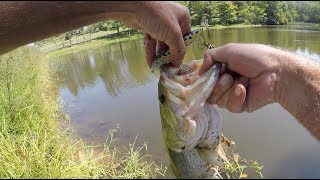 One Last Cast ~ Slow Motion ~ Bass Fishing ~ 4K