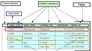 #dbms #rows#columns  What is Row (tuple)and Column (attributes)?