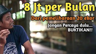 Analisa Usaha Kambing Perah (Sapera) - Part 6