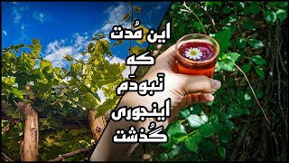 ولاگ طبیعت |برای اولین بار ولاگ گرفتم و سعی کردم حس واقعی و خوبی داشته باشه منتظر نظراتتون هستم✨🙃🌱