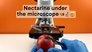 Would you eat a nectarine after seeing it magnified 400 times?