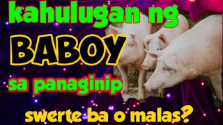 Mga Kahulugan ng Baboy sa Panaginip