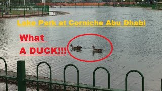 Lake Park at Corniche Abu Dhabi UAE.