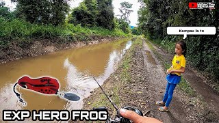 Casting Haruan | EXP Hero Frog | Top Water Explosion | softfrog EXP Fishing