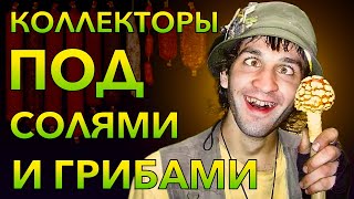 КОЛЛЕКТОРЫ ПОД ГРИБАМИ И СОЛЯМИ | Разговоры с коллекторами | Антиколлекторы