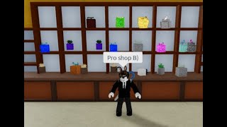 I Became MR BEAST!!! in Blox Fruit Roblox