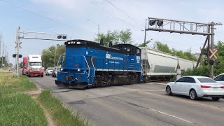 ENDANGERED OBRY both ways at McLaughlin rd in Southwestern Brampton, May 25 2021!