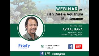 Webinar On Fish care and Aquarium Maintenance | by Aviral Rana Aquarist & Dhruv Chandhok  | Petofy