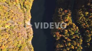 Drone shot, top view, of lake Tarnita, Romania, surrounded by colorful autumn trees