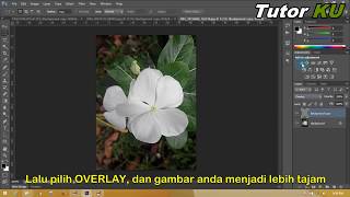 Cara menajamkan gambar dengan filter highpass - Tutorial Photoshop