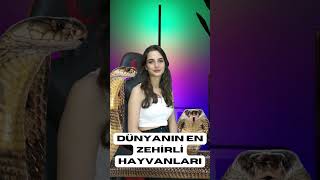 Dünyanın En Zehirli Hayvanları