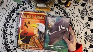 2*4*U BOOK REVIEW! ANIMAL SPEAK & ANIMAL VOICES - ENJOY A  SHAMANIC DIALOGUE WITH THE ANIMAL KINGDOM