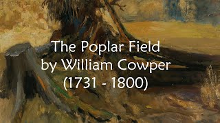 The Poplar Field by William Cowper - The Poplars are Felled - poem