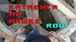 Vlog:Катаемся на медведе/Roofing зоопарка