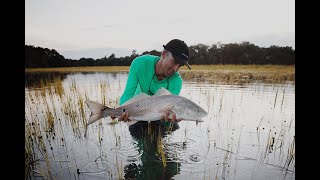 Tailing Redfish on a Charleston, SC Flood Tide