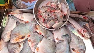 Wow! Piranha Fish are being sold at the market, People sell piranha at the market