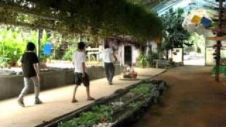 The Eco - greenhouse - Sergey Hovercraft .avi