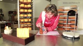 Le plateau des fromages par Sylvie Abadie