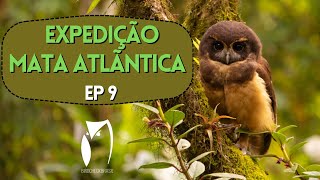 Observação de Aves - Expedição Mata Atlântica Ep 9 - Tapiraí e região SP