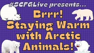 SCFGLive! Brrr! Staying Warm with Arctic Animals!