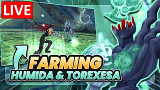 Let's Farm Humida & Torexesa with Viewers! - Toram Online Live Stream #shorts